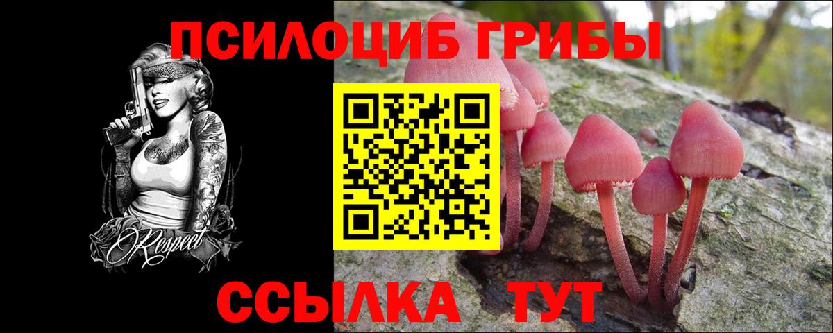 Вышний Волочёк  Галлюциногенные грибы мицелий  Галлюциногенные грибы MAGIC MUSHROOMS  Вход с VPN 